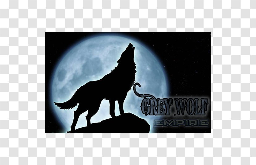 Black Wolf Dog Pack Drawing Alpha - Gray Transparent PNG