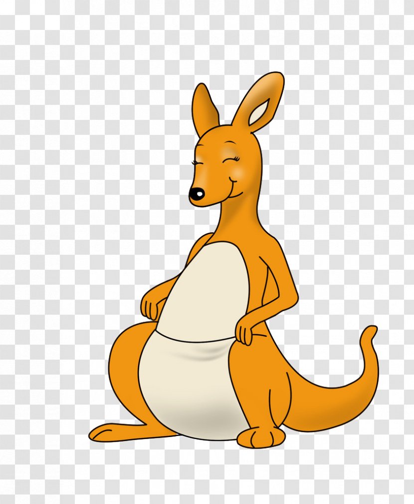 Kangaroo Animation Cartoon Clip Art - Fauna Transparent PNG