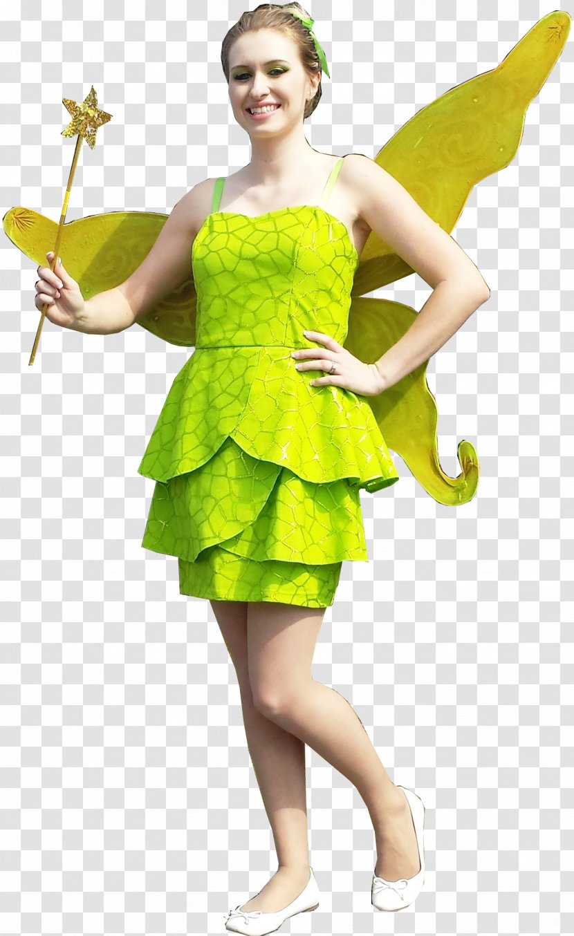 Costume Fairy Fashion Cosplay Dress Transparent PNG