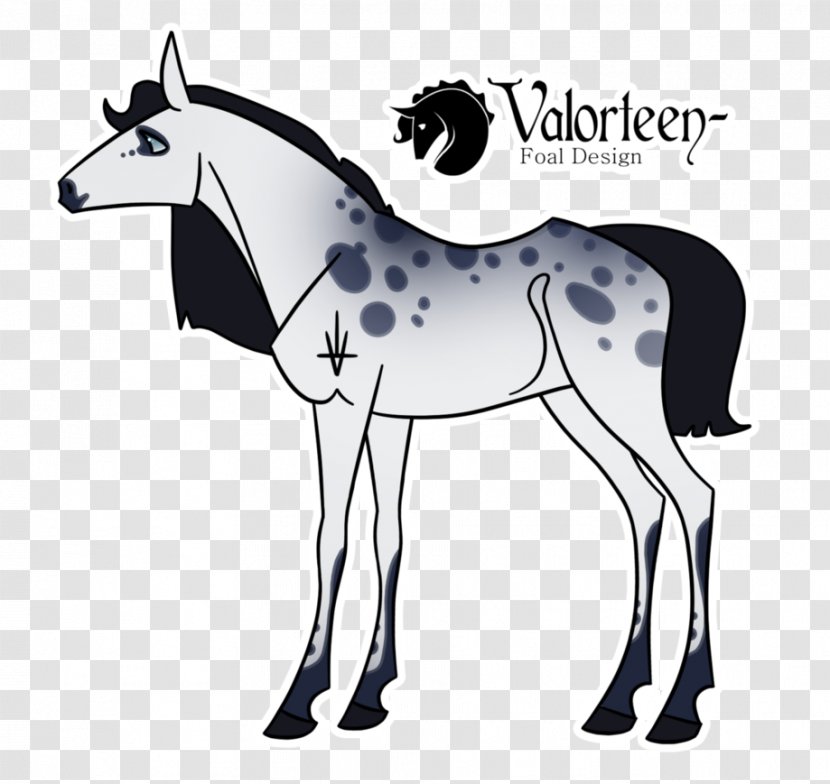 Mule Foal Stallion Mustang Mare - Donkey Transparent PNG