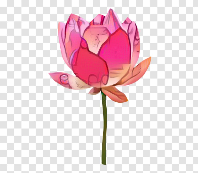 Water Paint Flowers - Lily - Bud Wildflower Transparent PNG