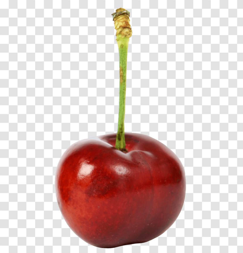 Cherries Cherry Pie Sour Vegetarian Cuisine - Watercolor - Team Transparent PNG