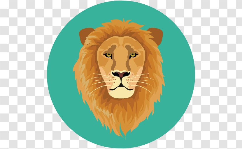 Lion Tiger Whiskers - Carnivoran Transparent PNG