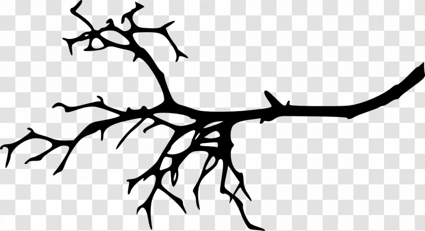 Twig Branch Clip Art Tree - Leaf Transparent PNG