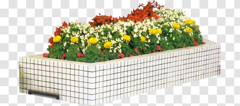 Floral Design Garden Horticulture Plate-bande - Cut Flowers Transparent PNG