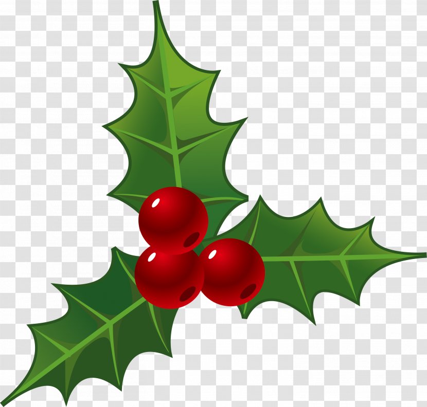 Holly Decorations For Christmas - Fruit Transparent PNG
