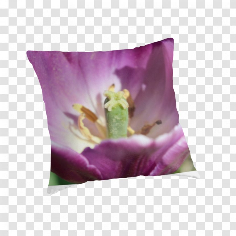 Lilac Lavender Violet Cushion Magenta - Purple Tulips Transparent PNG