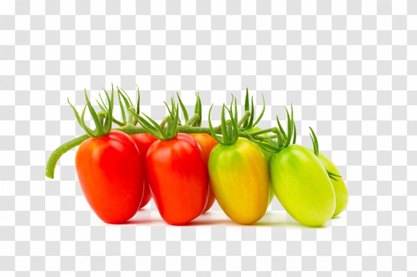 Cherry Tomato Common Grape Vine Ripening Fruit Vegetable - Natural Foods - Tomatoes Transparent PNG