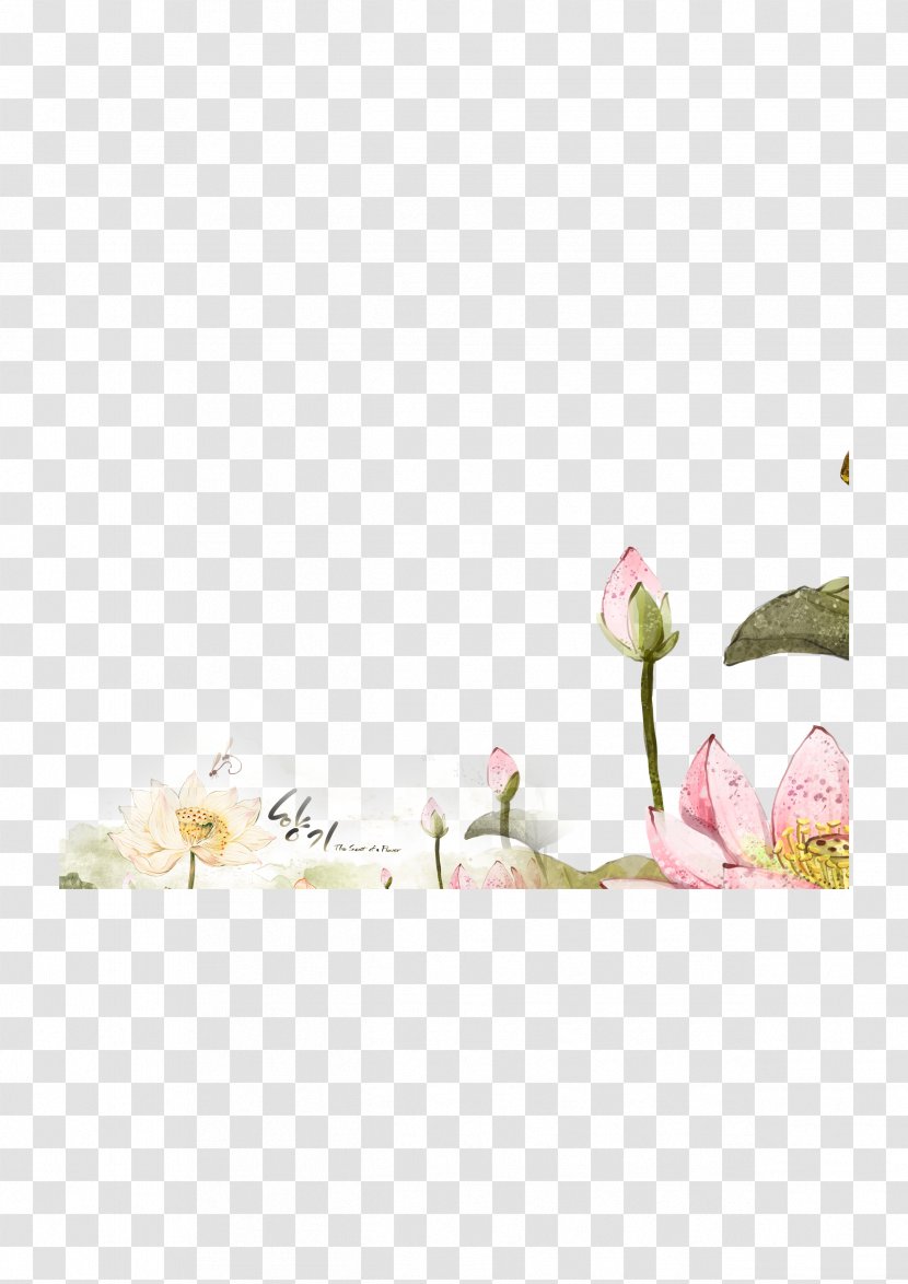 China - Petal - Chinese Style Lotus Transparent PNG