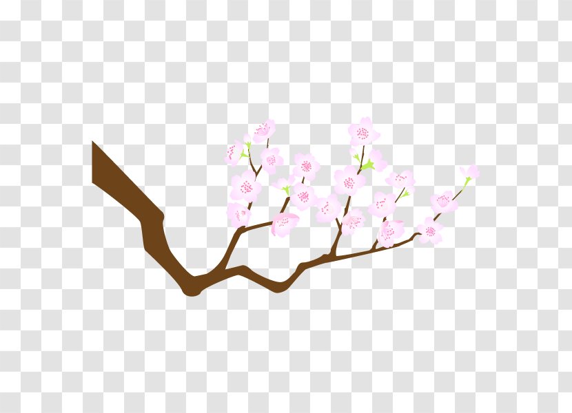 Cherry Blossom Japan Design Vector Graphics Illustration - Cartoon - Cherries Transparent PNG