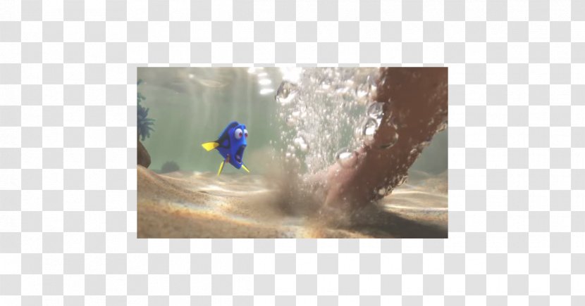 Fauna Stock Photography Beak - Dory And Marlin Transparent PNG