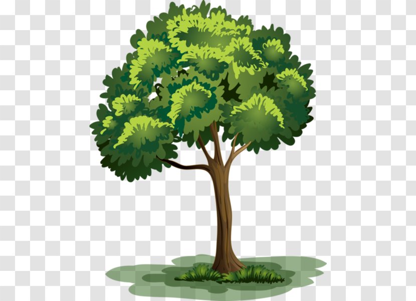 Drawing Royalty-free Clip Art - Green - Tree Transparent PNG