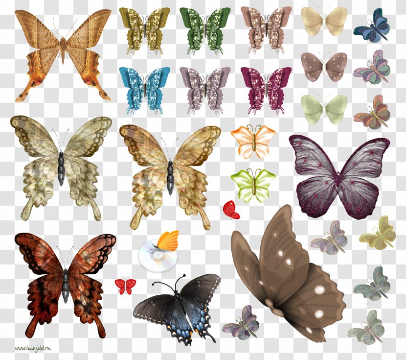 Butterfly Insect Moth Clip Art - Moths And Butterflies Transparent PNG