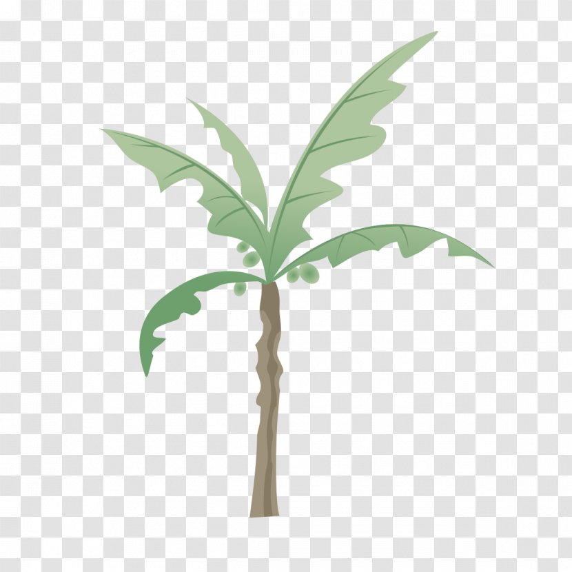 Branch Tree Coconut - Leaf - Model Toys Transparent PNG