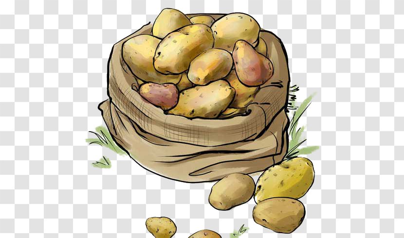 Potato Illustration - Vegetable - Potatoes Transparent PNG