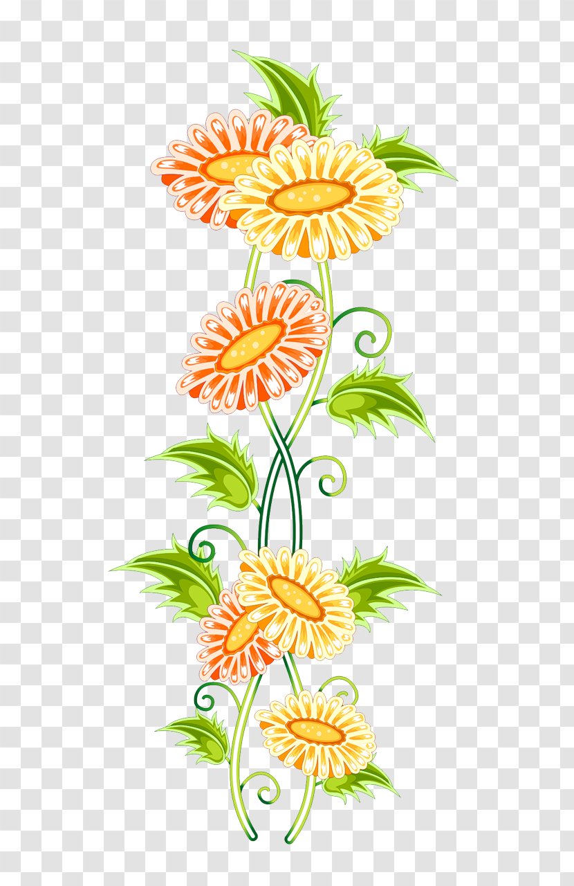 Clip Art Flower Image Floral Design - Collage Transparent PNG