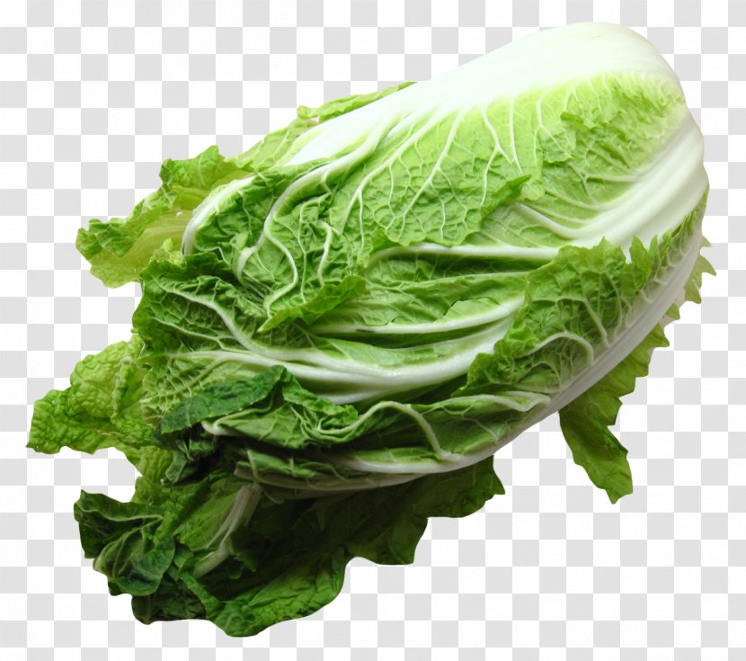 Romaine Lettuce Vegetarian Cuisine Cabbage Collard Greens - Spinach - Napa Transparent PNG