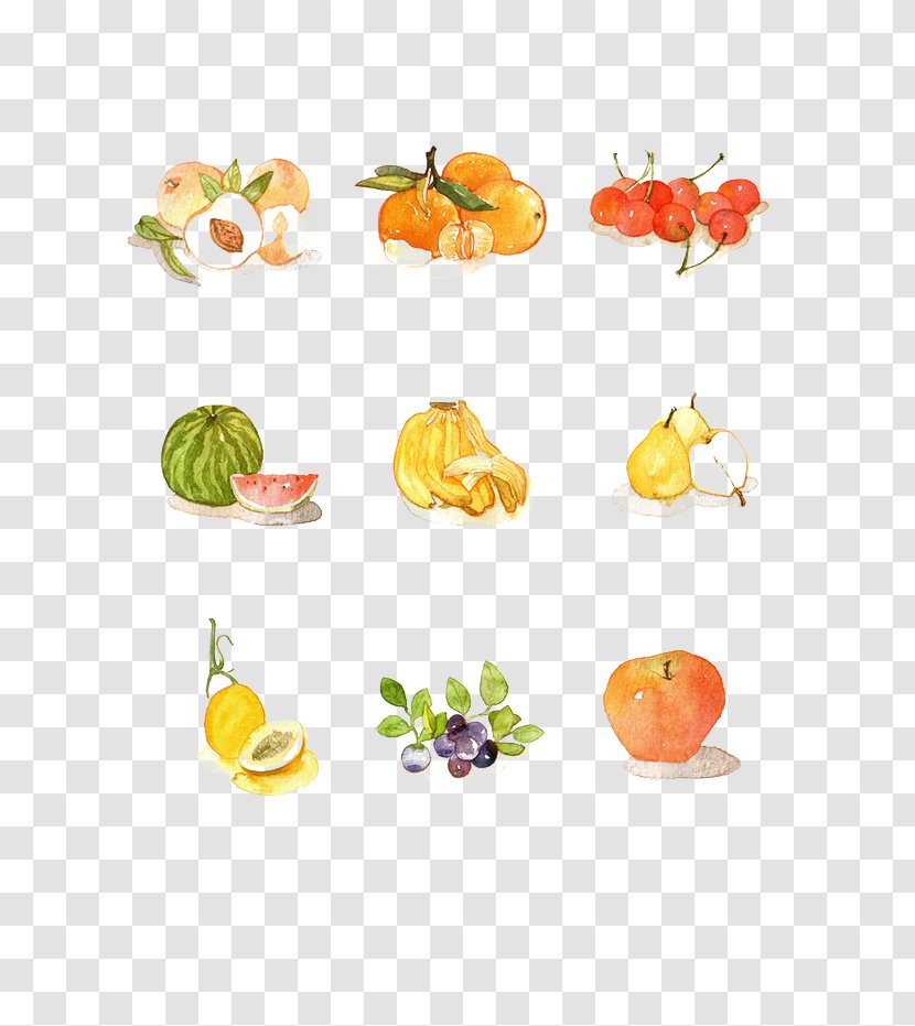 Peel Vegetable Fruit Download - Animation - Cartoon Transparent PNG