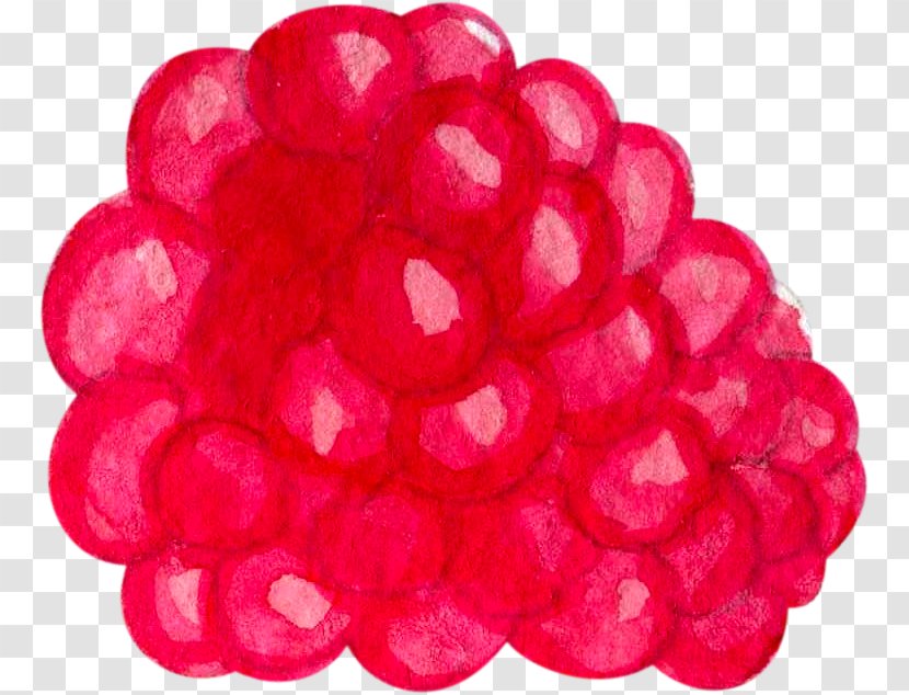 Wild Strawberry Raspberry - Hand Painted Red Transparent PNG