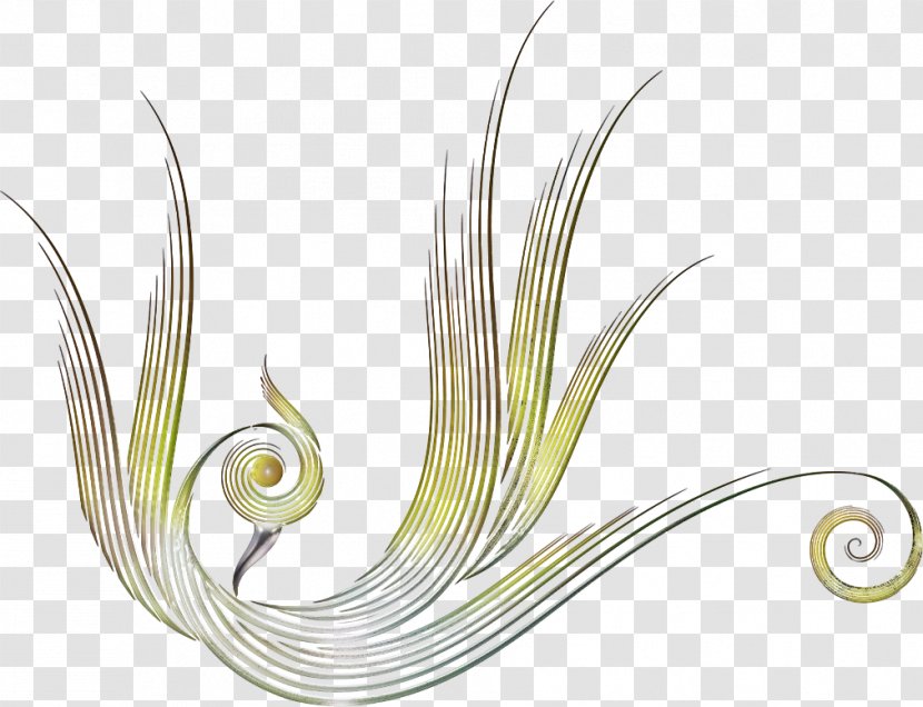 Lena River Flower Photography Graphics - Grass - Elements Design Transparent PNG