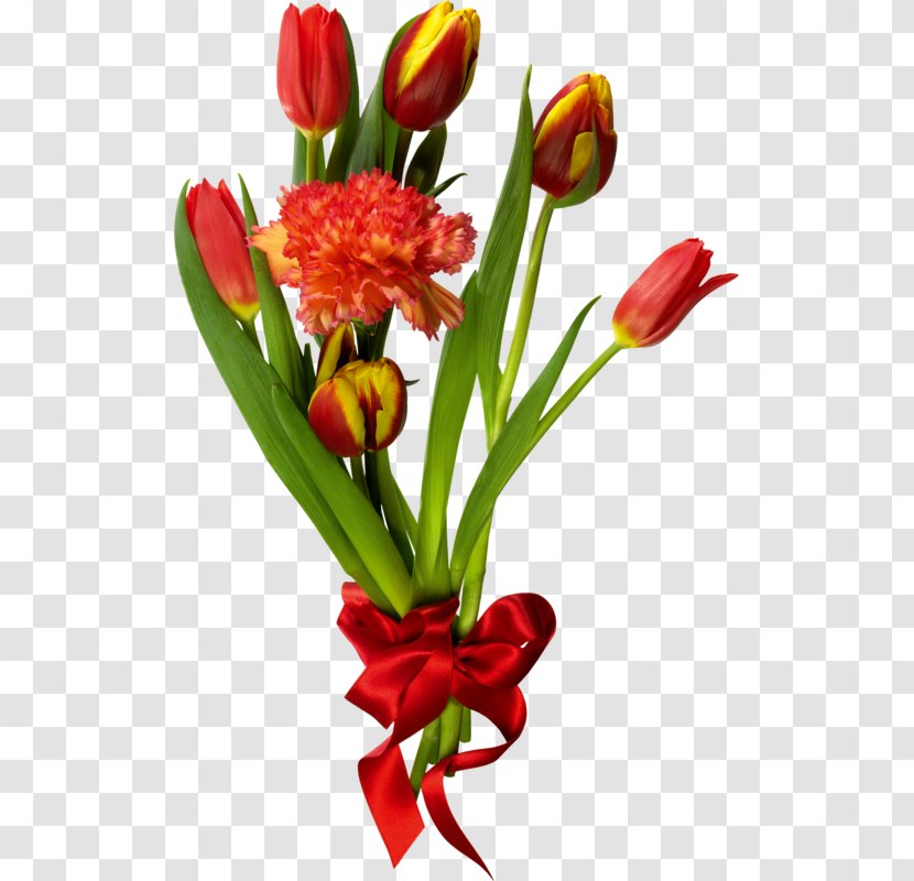 Tulip Mania Flower Bouquet - Dots Per Inch - Red Tulips Transparent PNG