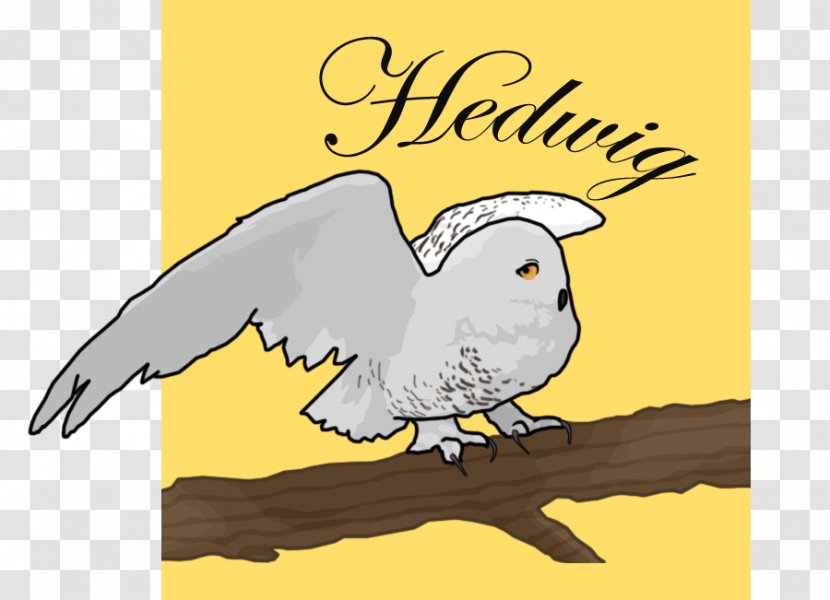 Beak Manatee High School Bird Clip Art - Wing Transparent PNG