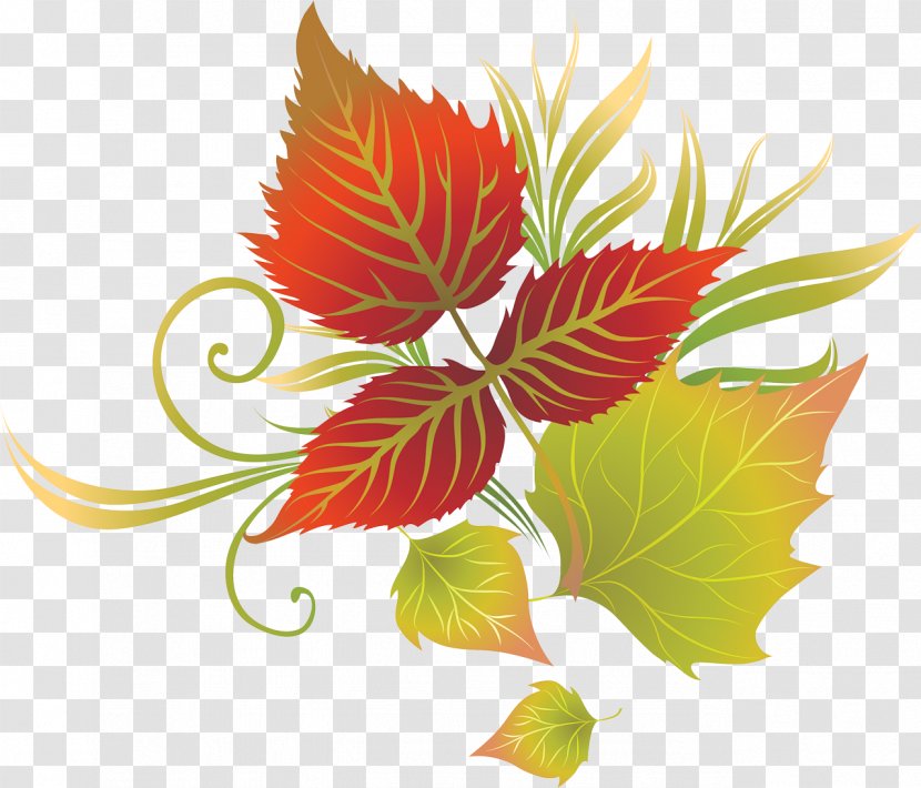 Leaf Tree Autumn Crown Clip Art - Raster Graphics Transparent PNG