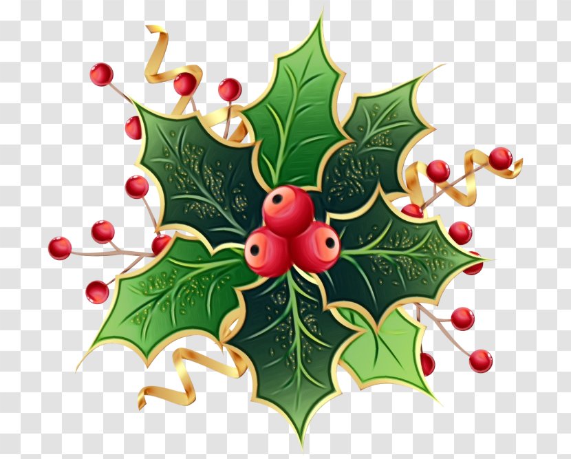 Christmas Ornament - Paint - Hawthorn Transparent PNG