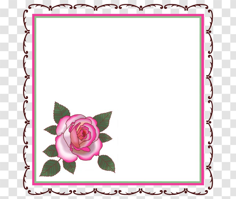Garden Roses Floral Design Cut Flowers - Watercolor - Rose Transparent PNG