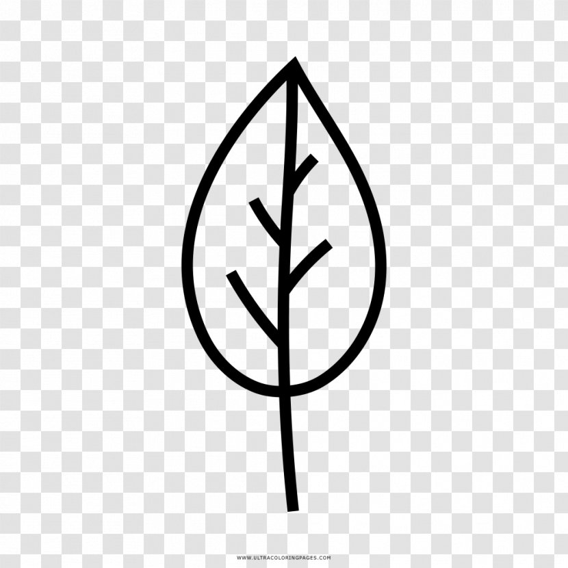 Leaf Tree Drawing Coloring Book - Text Transparent PNG