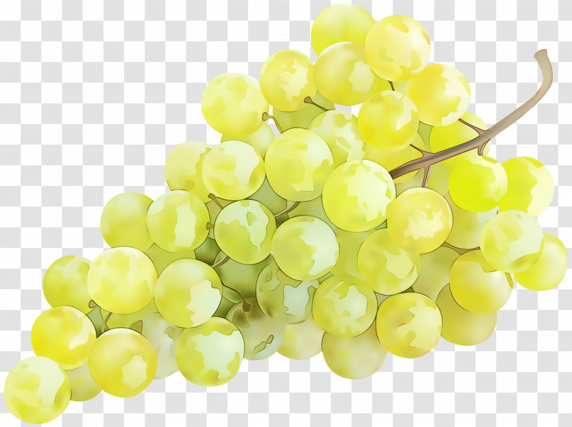 Sultana Seedless Fruit Grapevines Grape Seed Extract Grape Transparent PNG