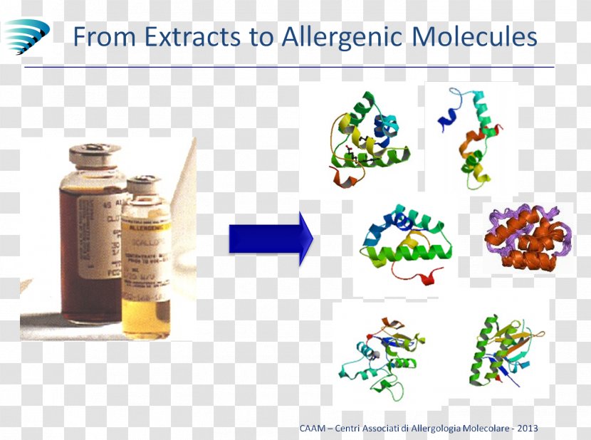 Allergen Allergology Molecule Allergy Test - Nanotechnology - Nanomolecules Transparent PNG