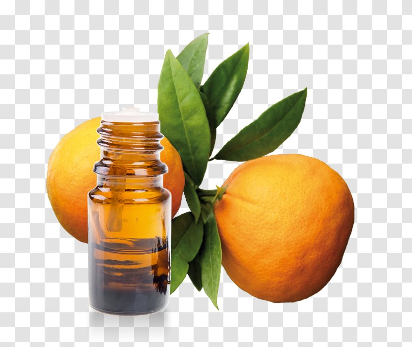 Bitter Orange Marmalade Essential Oil - Bitters - Millet Grain. Transparent PNG