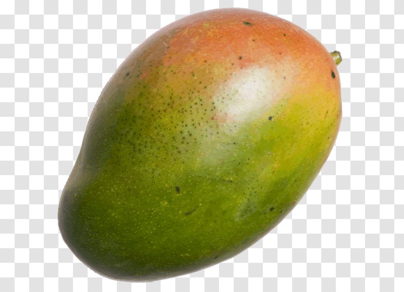Mango - Food - Mangue Transparent PNG