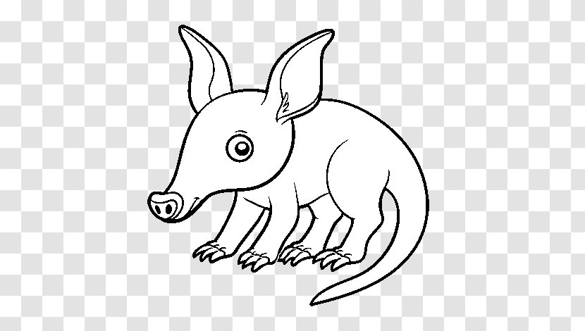 Aardvark Anteater Drawing Coloring Book Cartoon - Dog Like Mammal - Bioparc Transparent PNG