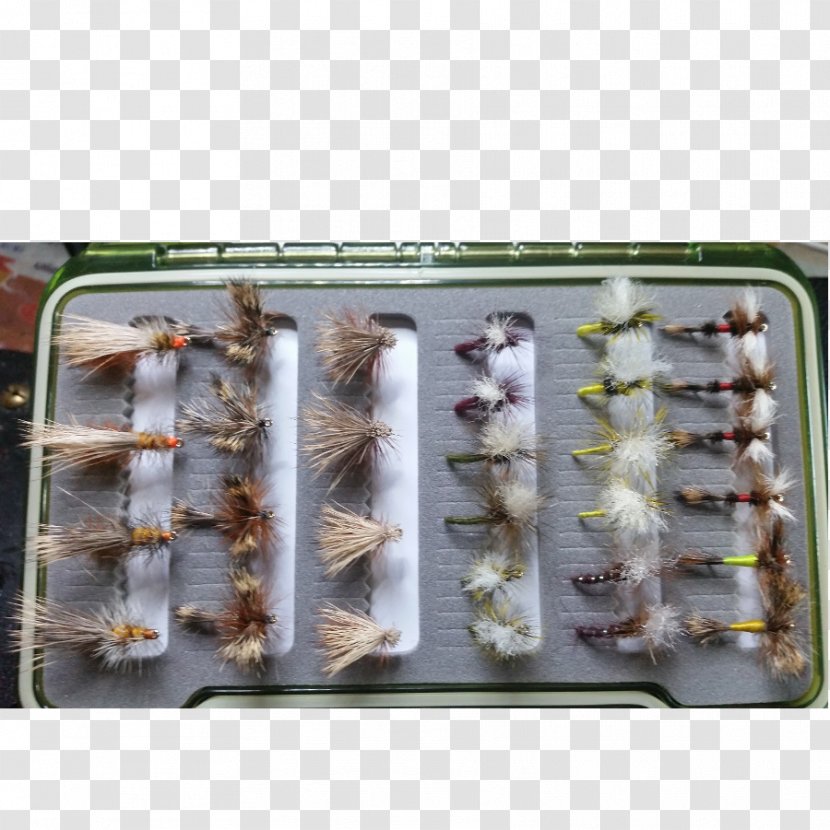 Fly Fishing Nymph Box Set - Cargo Transparent PNG