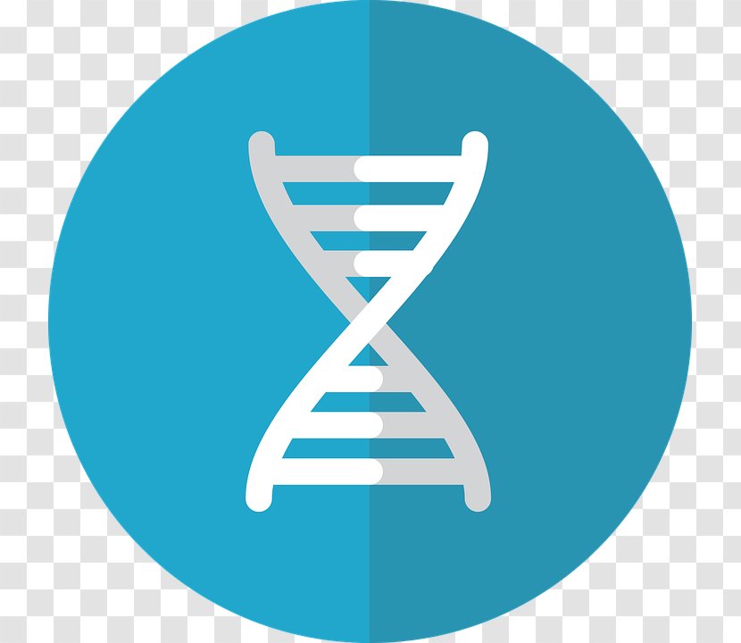 Genetics Genetic Engineering - Technology - Gene Redundancy Transparent PNG