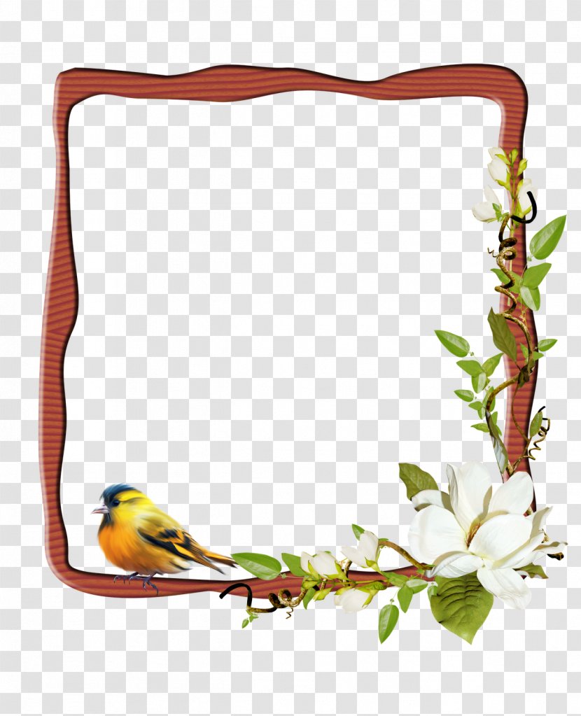 Picture Frames Photography - Frame - Photoshop Transparent PNG