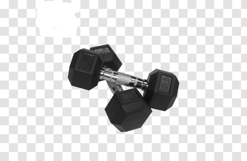 Dumbbell Weight Training Physical Fitness Centre Strength - Sports Equipment Transparent PNG