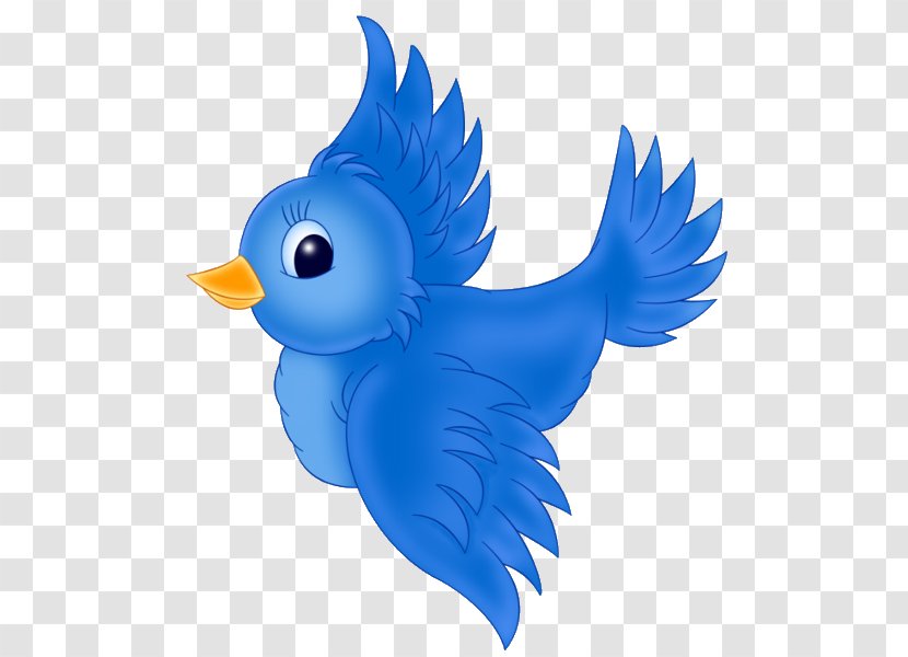 Western Bluebird Eastern Clip Art - Beak - Blue Bird Transparent PNG
