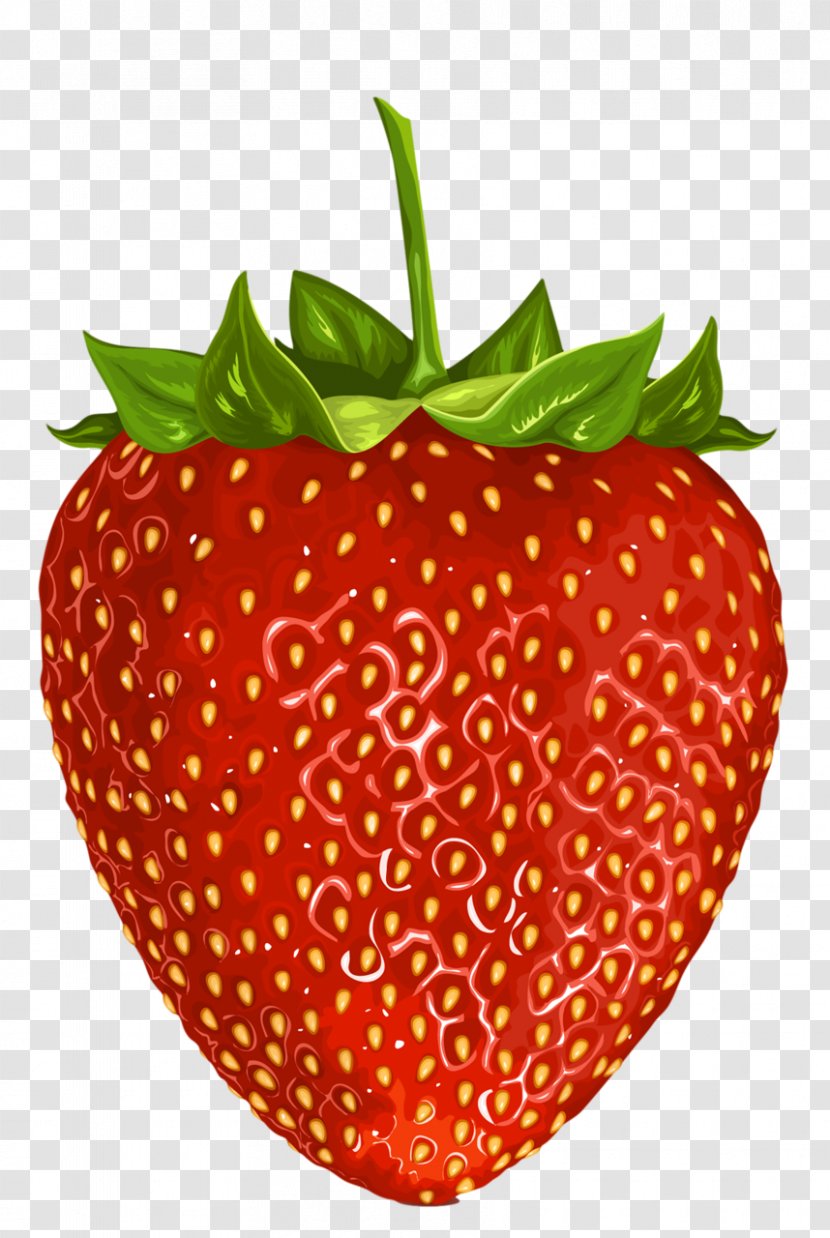 Strawberry Fruit Drawing Clip Art - Superfood - Watercolor Transparent PNG
