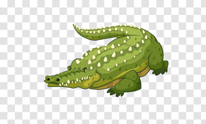Nile Crocodile American Alligator Reptile - Organism Transparent PNG