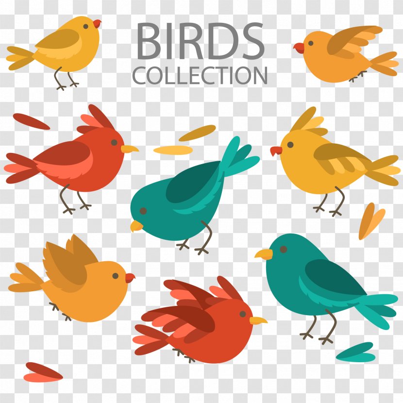 Lovebird Feather Illustration - Branch - Color Cartoon Bird Design Vector Material Transparent PNG