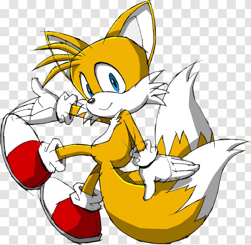 Tails Sonic Boom: Rise Of Lyric The Hedgehog Chaos - Vertebrate - React Vector Transparent PNG