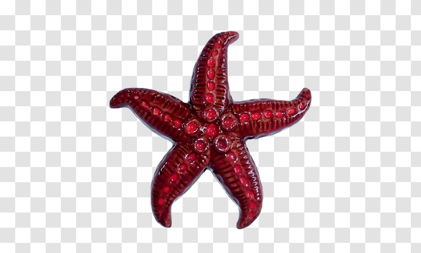 Cafe Restaurant Mugg & Bean Godiva Chocolatier Famous Brands - Red Starfish Transparent PNG