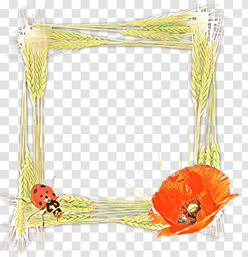 Picture Frame - Plant - Interior Design Transparent PNG