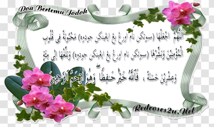 Qur'an Ya Sin Surah Al-Waqi'a Yusuf - Plant - Islam Transparent PNG