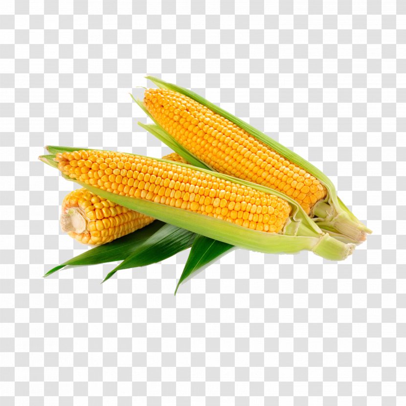 Waxy Corn Vegetable Crop Food Sweet - Rice Transparent PNG