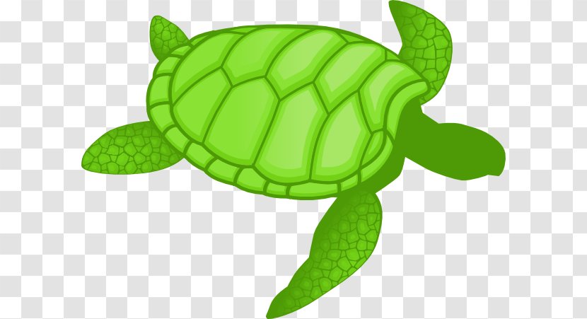 Green Sea Turtle Clip Art Drawing - Line - Flying Transparent PNG