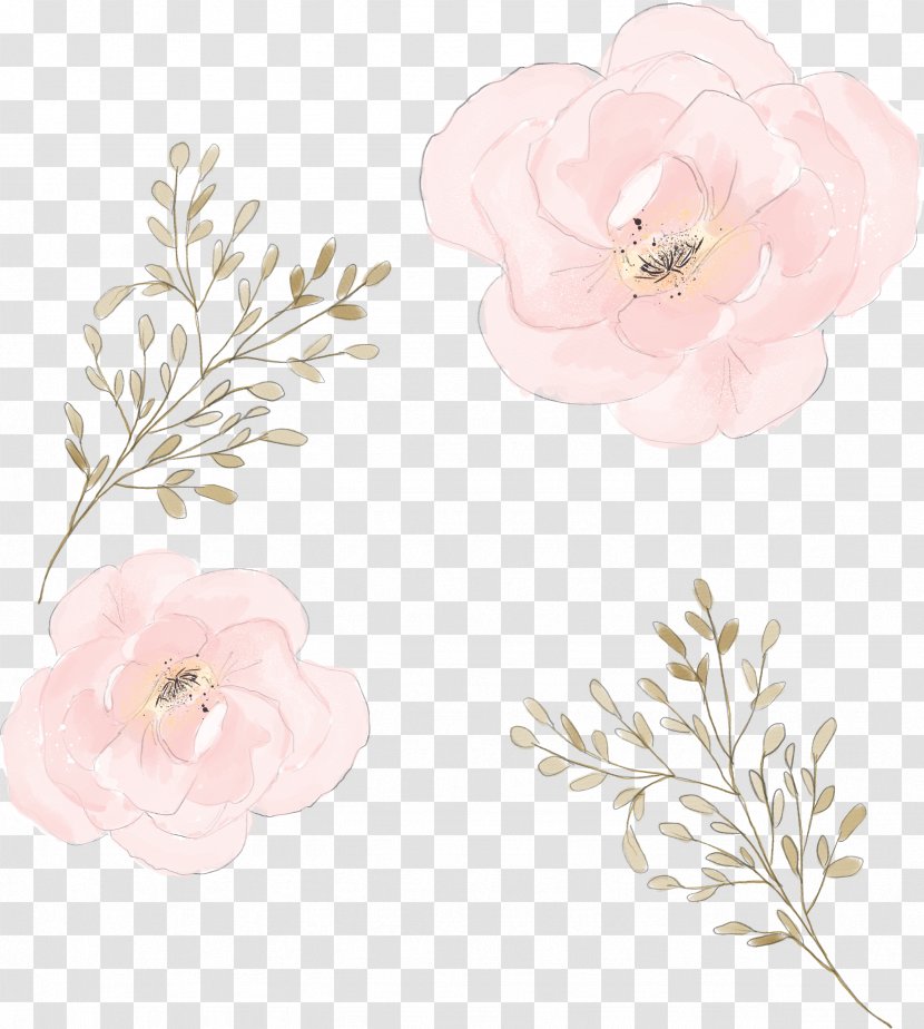 Plum Blossom Flower - Rose Family - Watercolor Flowers Transparent PNG